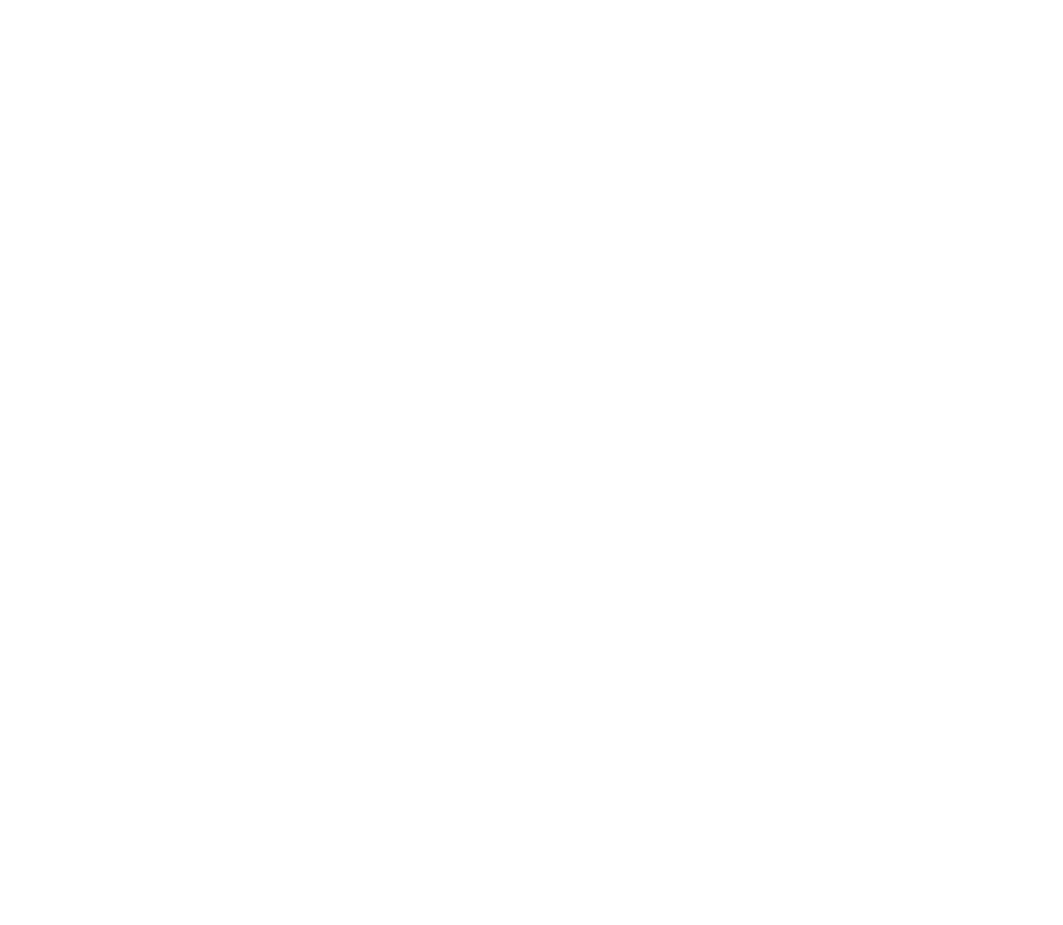 443 AI